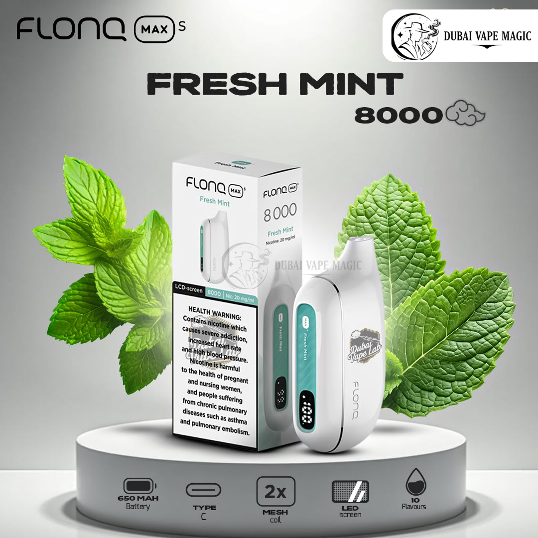 FLONQ Max S 8000 Puffs Disposable Vape – Premium Smart Vape in Dubai