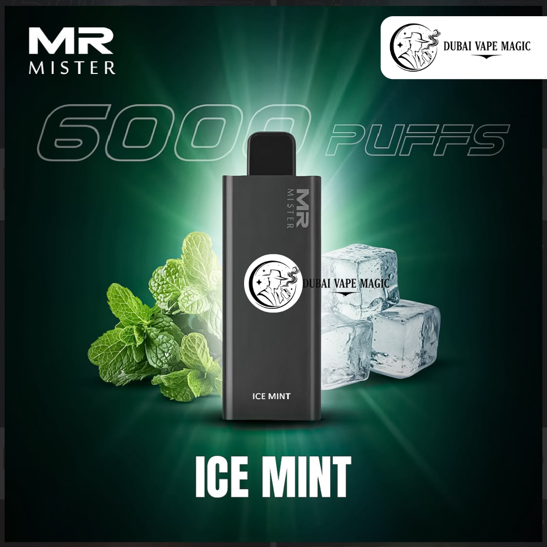 Buy Mr Mister 6000 Puffs Vape Dubai | Vape Magic UAE