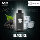 Buy Mr Mister 6000 Puffs Vape Dubai | Vape Magic UAE