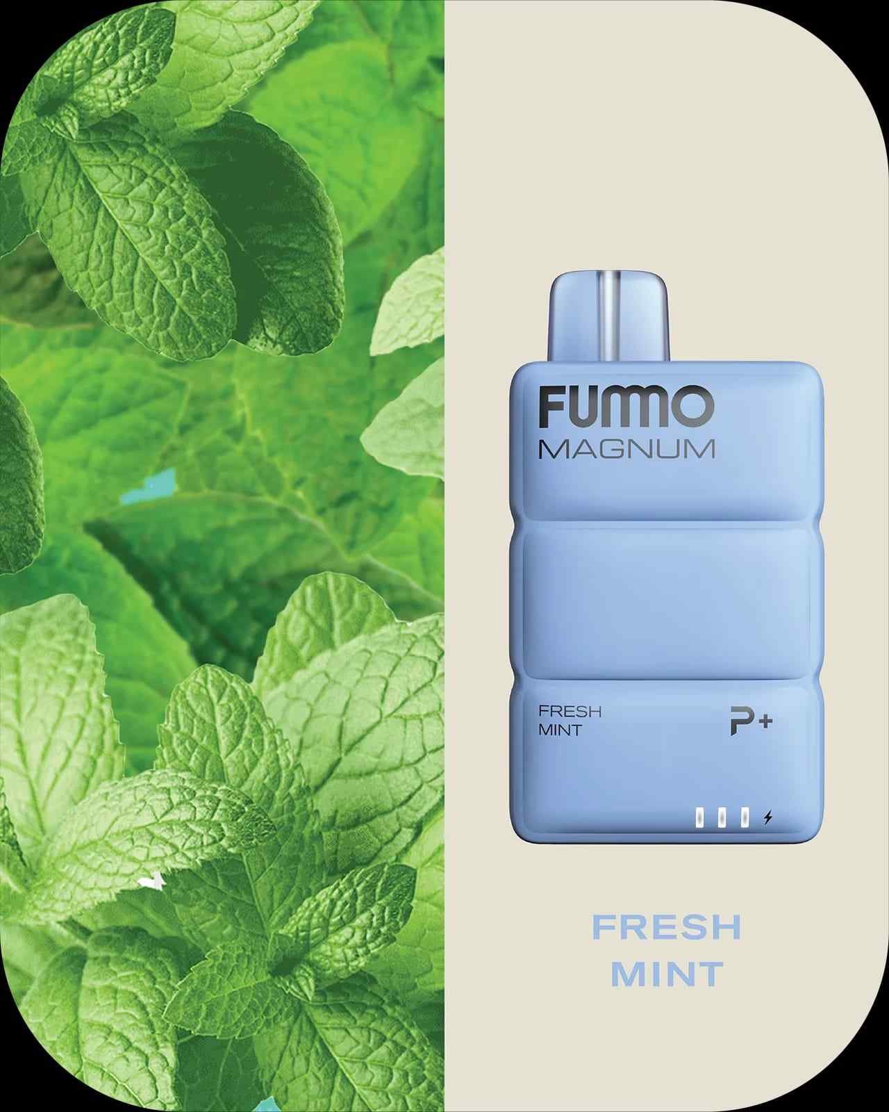 FUMMO Magnum 8000 Puffs Vape UAE – Buy Online Dubai