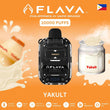 Flava 10000 Puffs Disposable Vape | Dubai Vape Magic