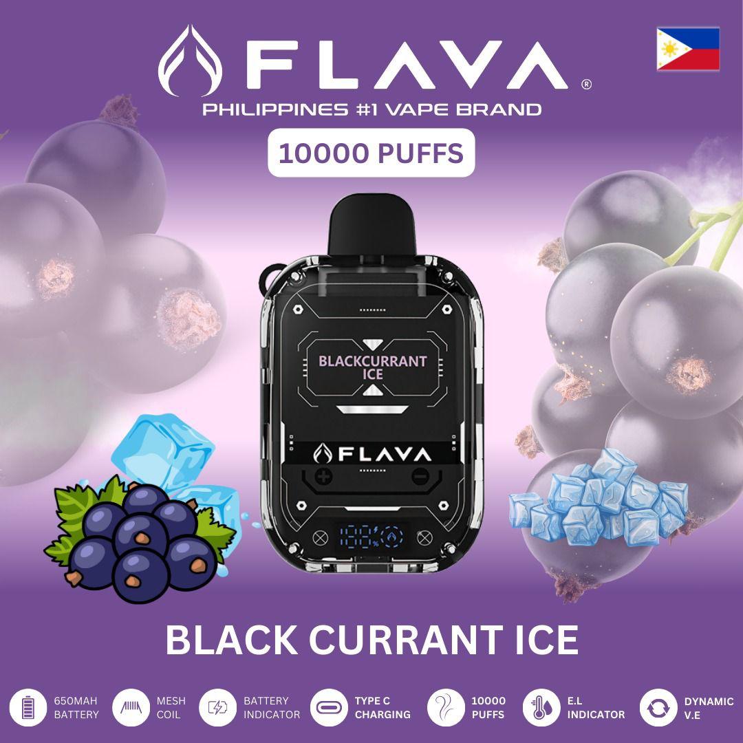 Flava 10000 Puffs Disposable Vape | Dubai Vape Magic