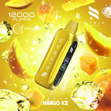 RIFBAR Turbo X Slim 12000 Puffs 2% Vape | Dubai Vape Magic