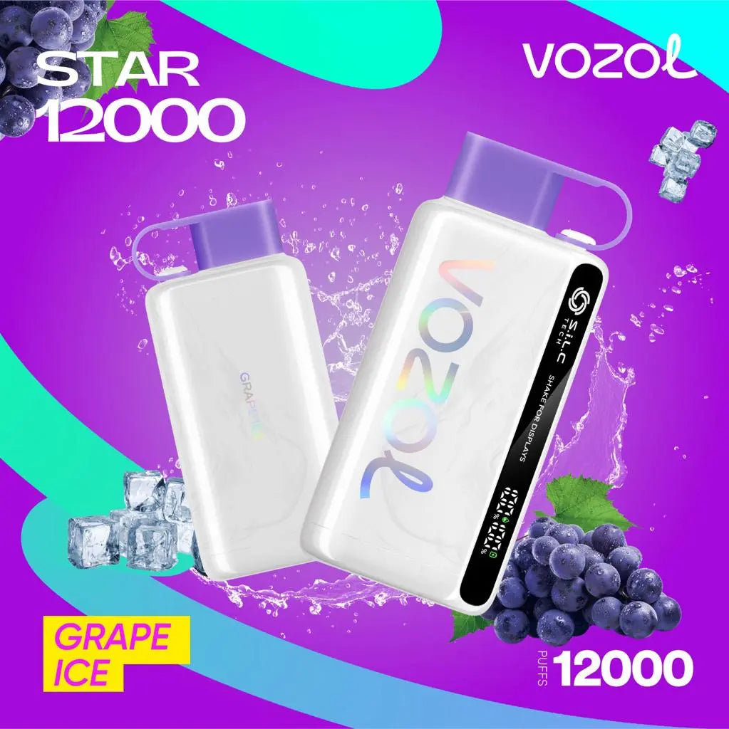 Vozol Star 12000 Puffs Disposable Vape UAE | Fast Dubai Delivery