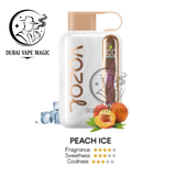 Vozol Star 40000 Puffs Disposable  Dubai Vape Magic