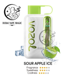 Vozol Star 40000 Puffs Disposable  Dubai Vape Magic